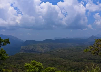 tiger valley valparai